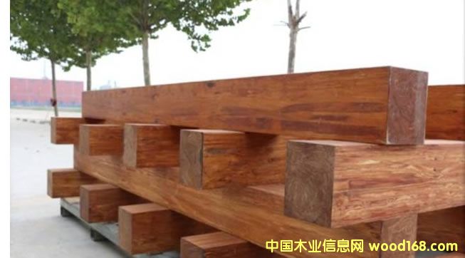 ����ľ���˹���������һѡ��