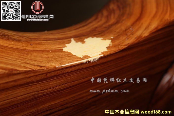 Խ�Ͼ��ְ���֦�Ҿ���Ƥ����¼�