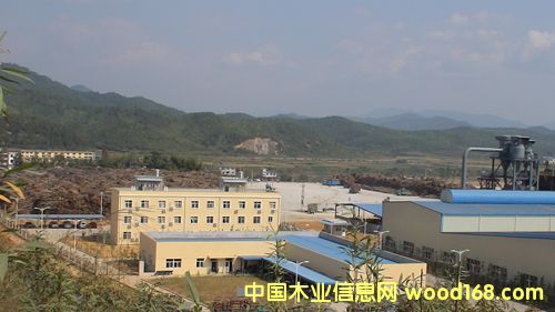 ����ɭ�ľҵ