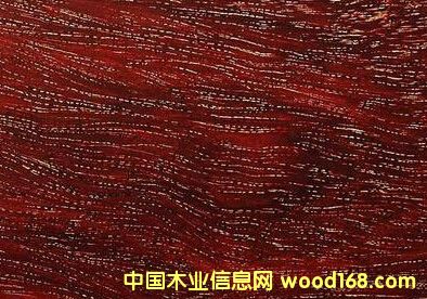 金星并不是小叶紫檀独有的标准