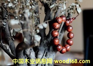 ��̴�������������:��Ҳ�죬ȥ��Ҳ�죡