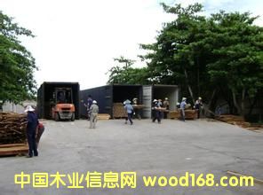 ���ں���ľҵ