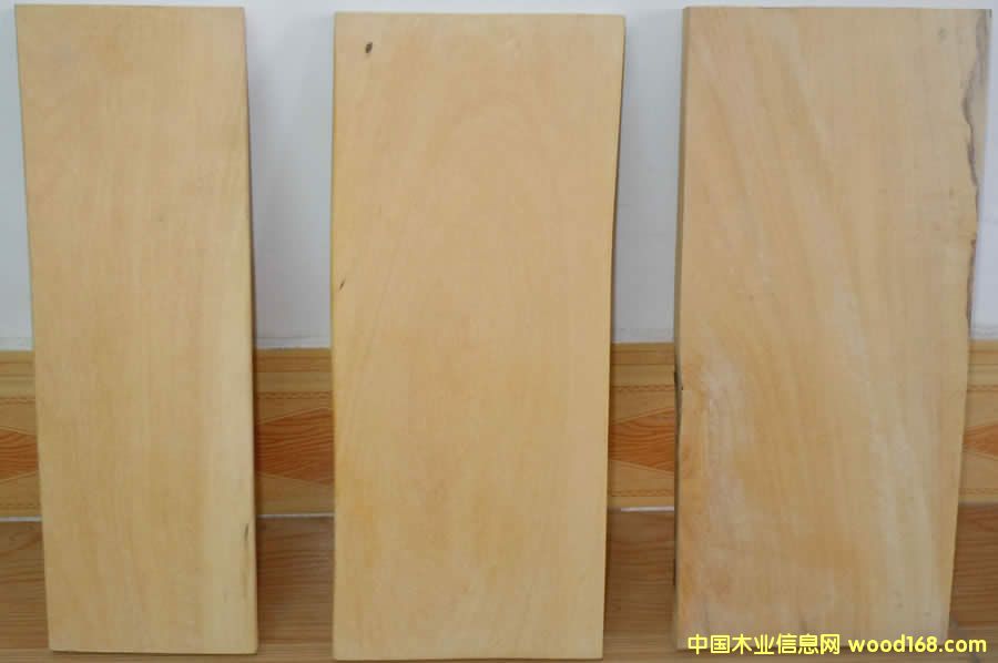 木材图谱知识:香榧木(红豆杉科)