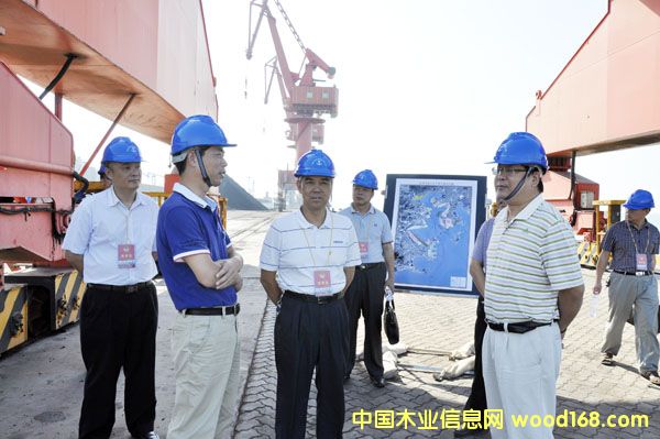 ������������۽���ľ�ļ��߳���������