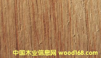 ľİٿƣ˹ľMerpauh)