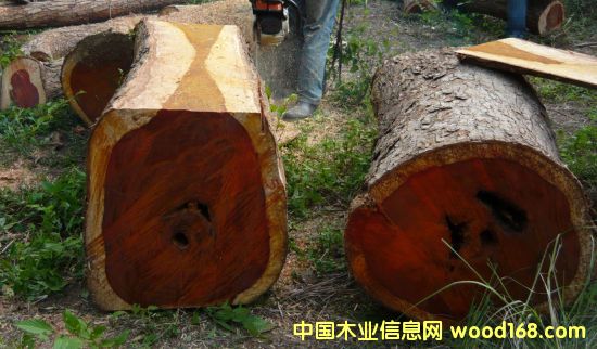 ɫ˾GGC̸йľгľ޴Ǳ