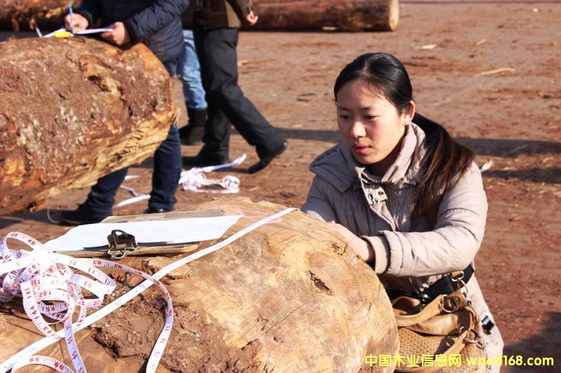 ����ʡľ�ļ��Ա��ѵ����̫�־ٰ�