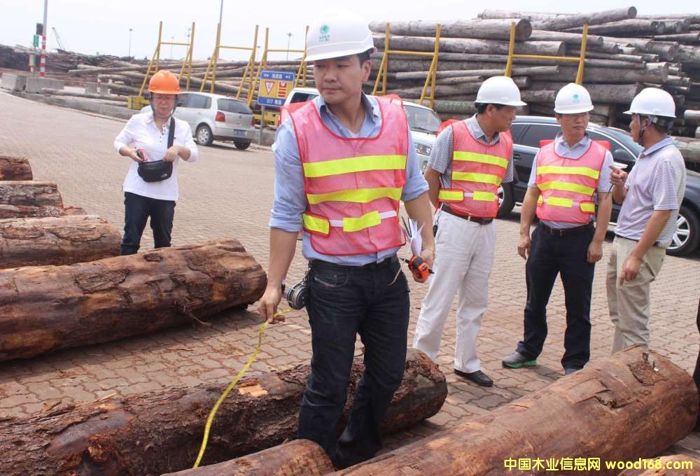 ôTRANS-PAC FIBRE ˾ָ̫۸̸мʵ