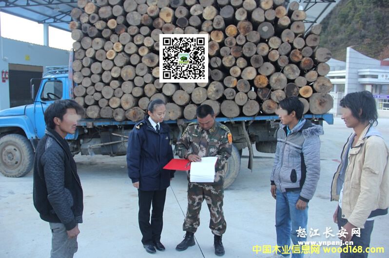 ����Ƭ���߾����վ�����˽������ԭľ206��