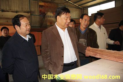 ����ɭ�����Ų쿴���ؿƼ�ľ�����г�