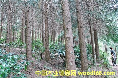 ���ϵº����������ľ��һ��