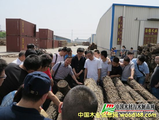 ȫľļʦ()ְҵʸѵϺٰ