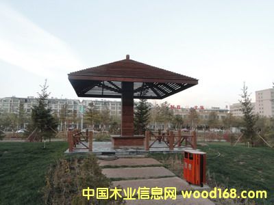 ���Ķ�������ľҵ