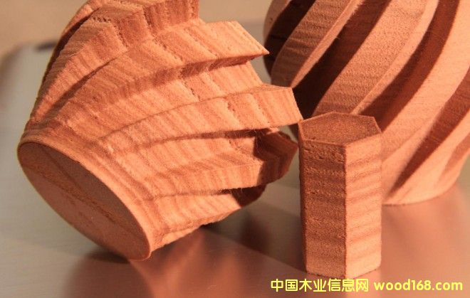 ľ��3D��ӡ���ˣ�