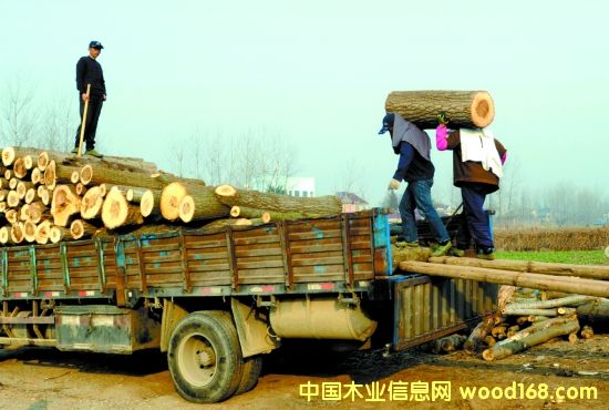 ����ͭ������������ԭľ�����Ӵ�