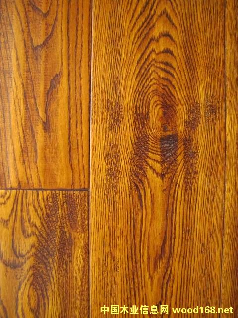 ��������HLZ2006