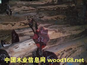 κ֦ڵйϺɽҪʲô֤ܱصϸ