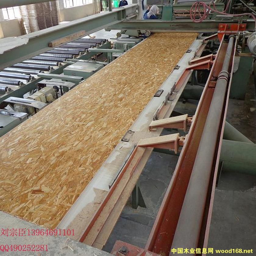 [供] 无醛防水定向刨花板