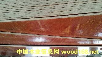 ��ȩ�����