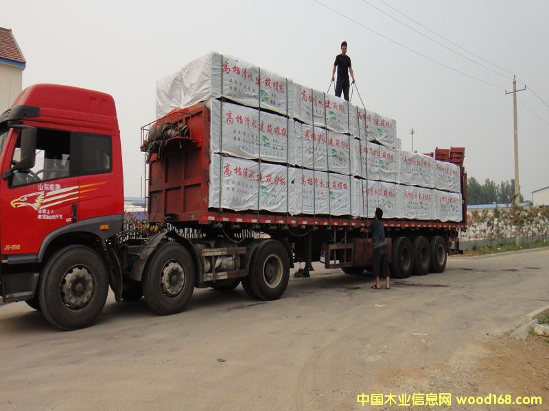 ɽ������ģ��