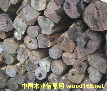 ���κ���֦