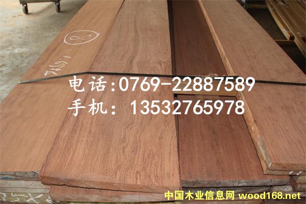 ���������Ķ���