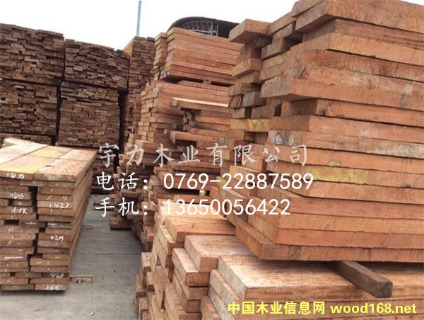 ����¡�ͻ����