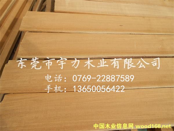 �����ľ��Ƭ