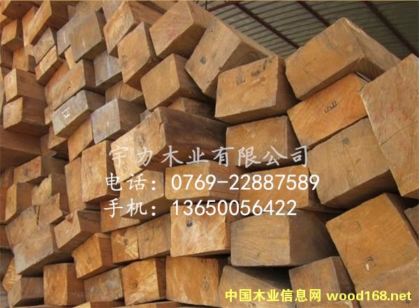 ��������ľ���