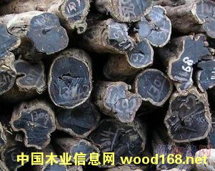 ���Ҹ�������ľ���ڱ��ش���