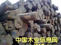 оľĽڱ-Ϻۺľڱع˾