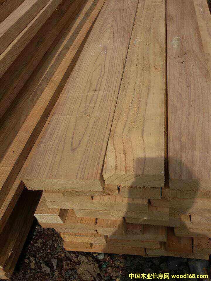 红玫瑰的详细介绍