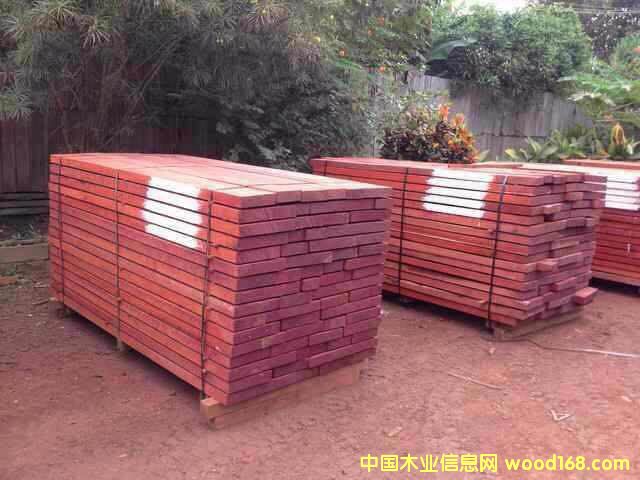 红花梨的详细介绍