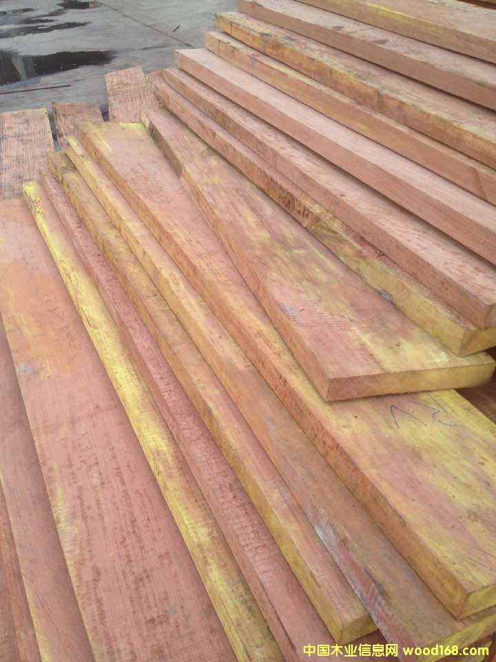 高山巴花的详细介绍