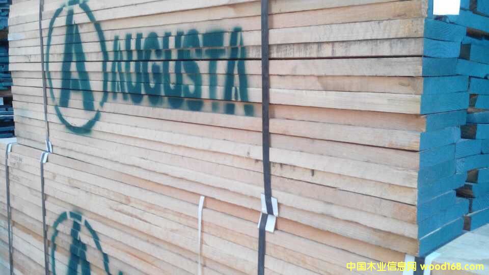 红橡的详细介绍