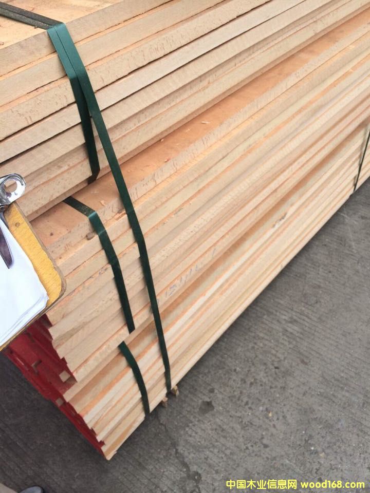 榉木的详细介绍