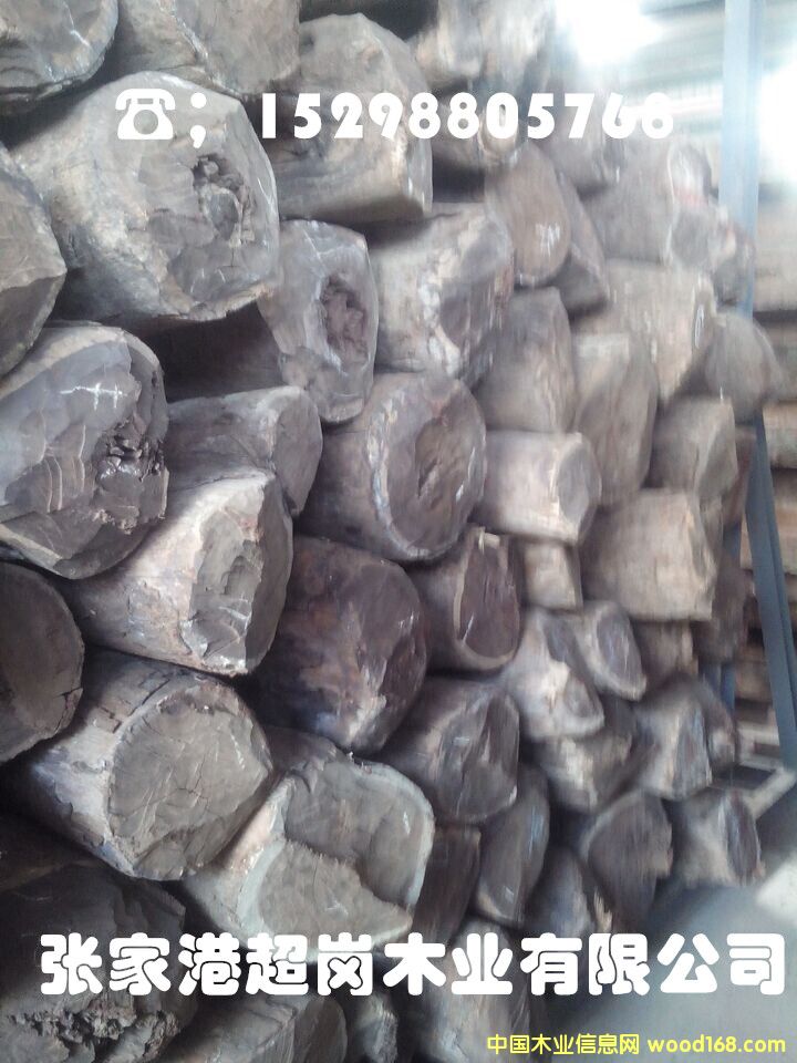 ޱѪ̴  żҸ  ľѪ̴ ϸ