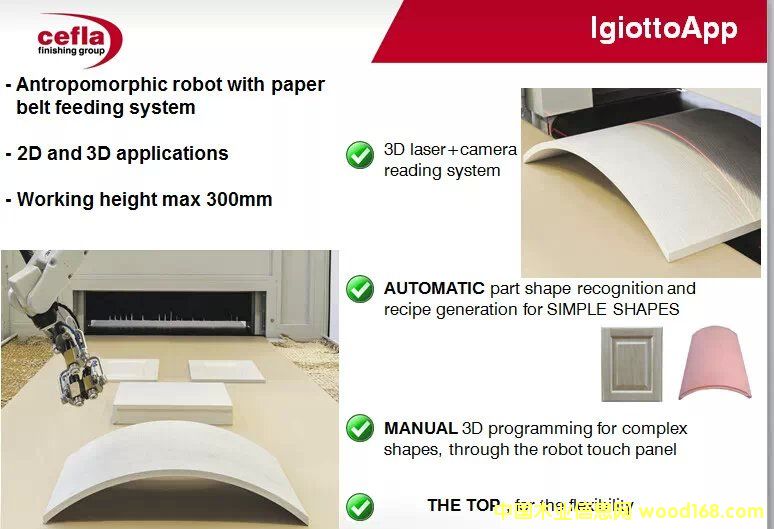 cefla  3D Ϳװ�豸