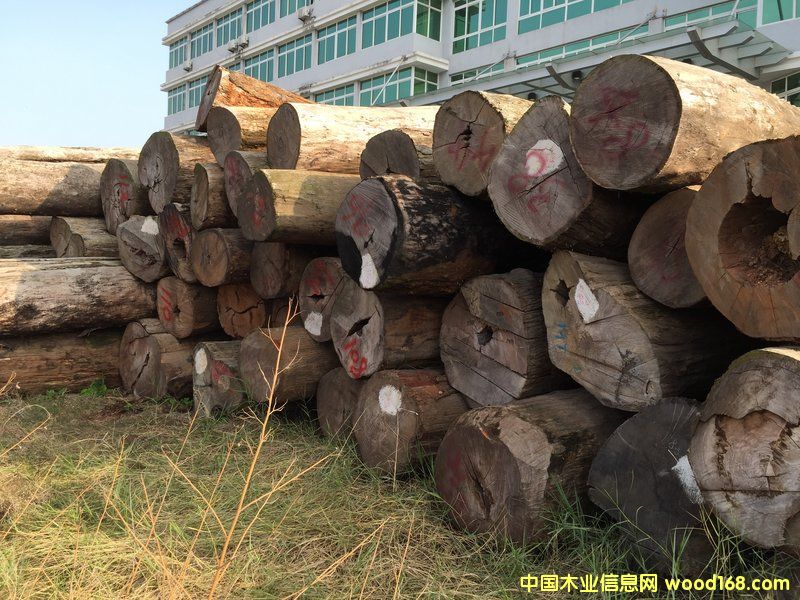 黨ԭľ 70 cm * 5 m))ϸ