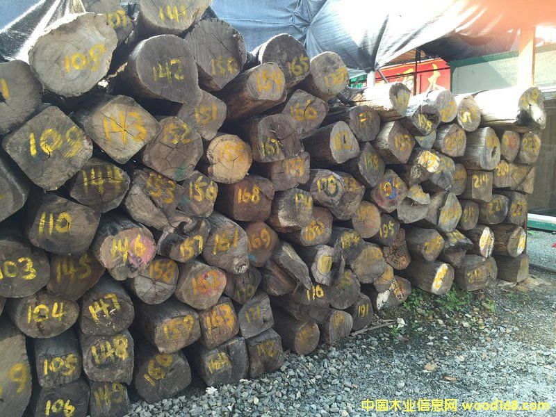 黨ԭľ30 cm X 3 m)ϸ