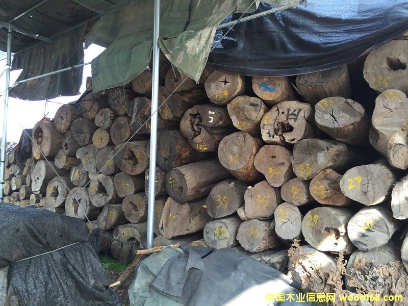 黨ԭľ40 cm X 4 m)ϸ