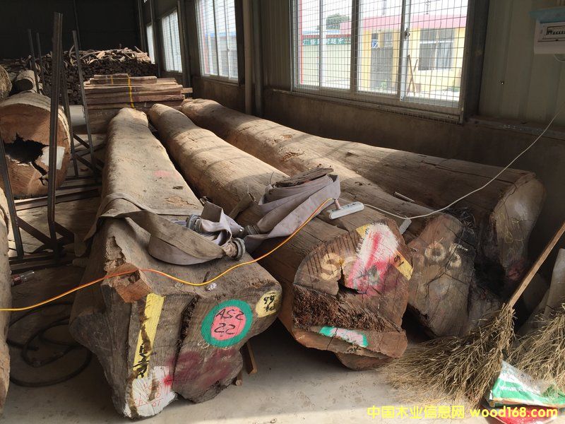 黨ԭľ (80 cm X 8 m)ϸ