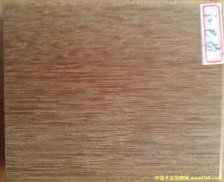 [��] ���ڰ���ľ