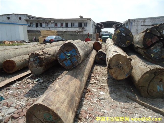 [] ¡ľõľľҵȸӲľ۸