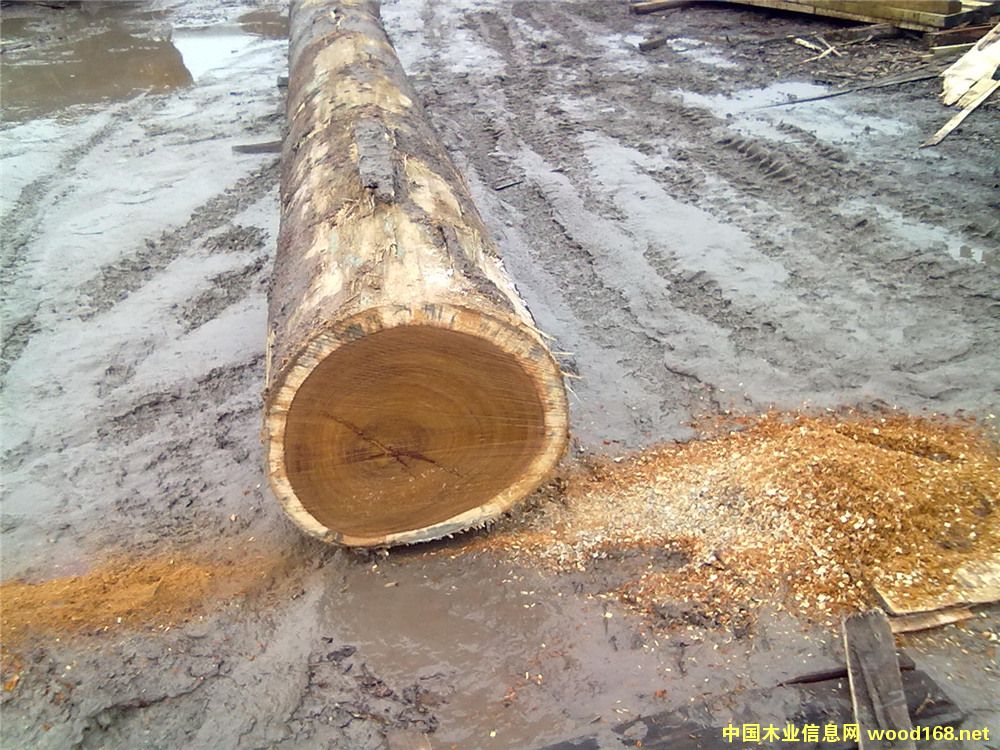 ӡ�Ფ�ܸ񶨹��ӹ�����ľ��