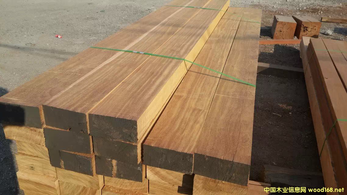 ���޲��ܸ���Ӳľ����ذ����ľ�ľ���԰�շ���ľ�ĳ���