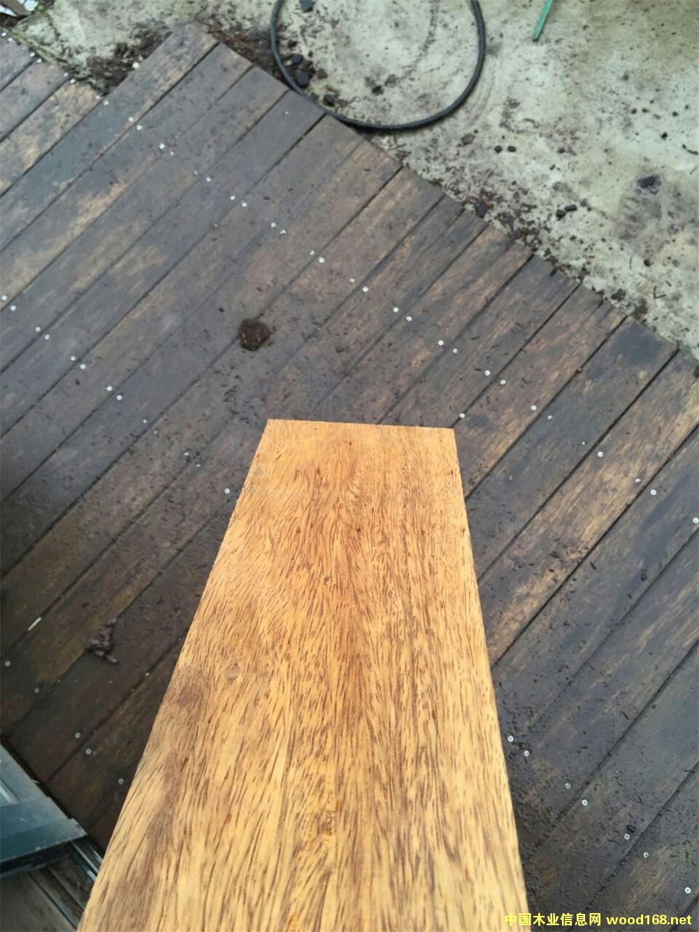 �������ܸ�