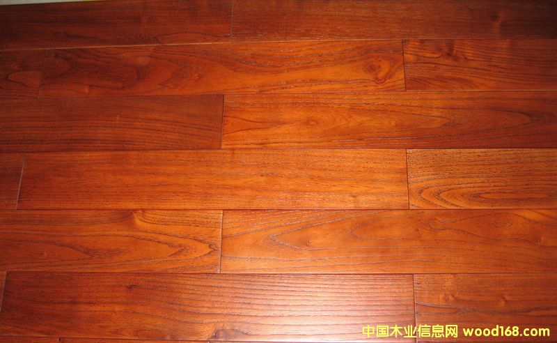 ʵľȵذΨһרƷƵϸ