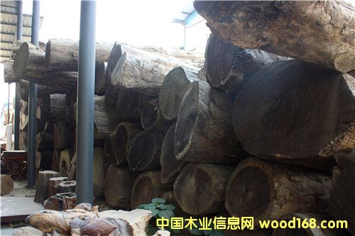 黄心楠的详细介绍