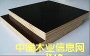 ����鿴������Ĥ��Ŵ�ͼƬ